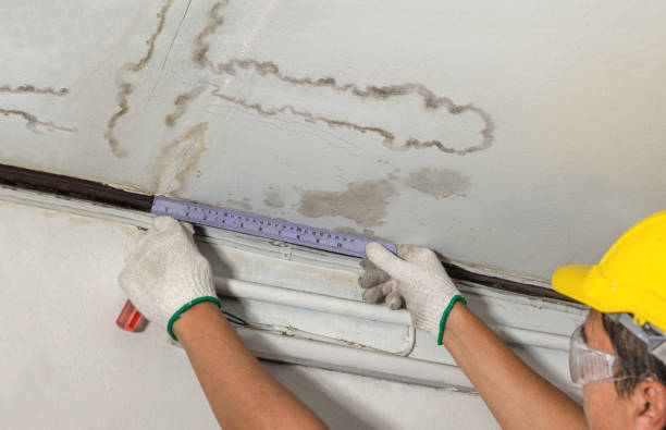 Reliable Mold Remediation contractor in Butler, NJ by Water Damage Irwin